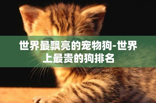 世界最飄亮的寵物狗-世界上最貴的狗排名