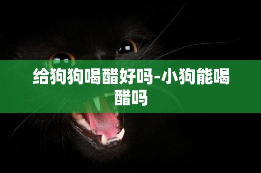 給狗狗喝醋好嗎-小狗能喝醋嗎