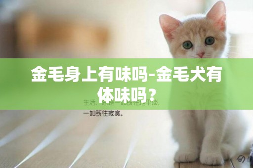 金毛身上有味嗎-金毛犬有體味嗎？