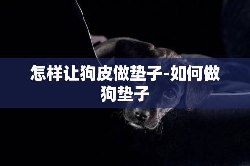 怎樣讓狗皮做墊子-如何做狗墊子