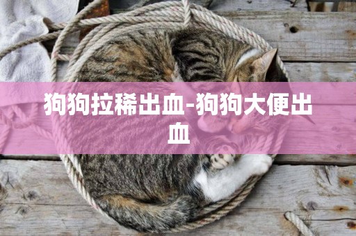 狗狗拉稀出血-狗狗大便出血