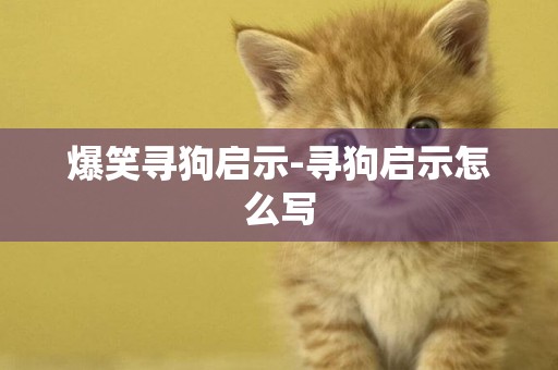 爆笑尋狗啟示-尋狗啟示怎么寫