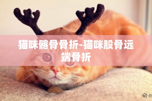 貓咪髂骨骨折-貓咪股骨遠端骨折