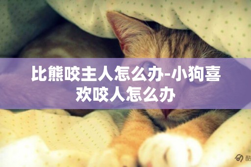比熊咬主人怎么辦-小狗喜歡咬人怎么辦
