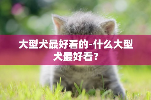 大型犬最好看的-什么大型犬最好看？