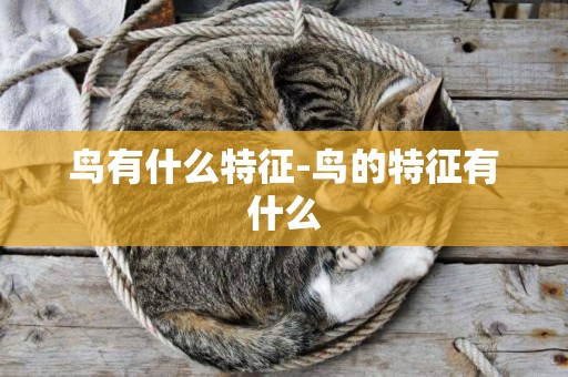 鳥有什么特征-鳥的特征有什么
