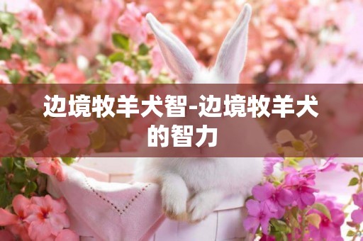 邊境牧羊犬智-邊境牧羊犬的智力