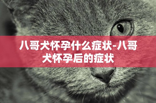 八哥犬懷孕什么癥狀-八哥犬懷孕后的癥狀