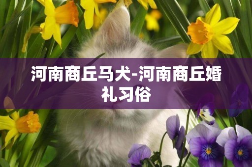 河南商丘馬犬-河南商丘婚禮習俗