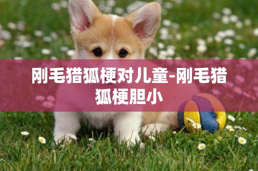 剛毛獵狐梗對兒童-剛毛獵狐梗膽小