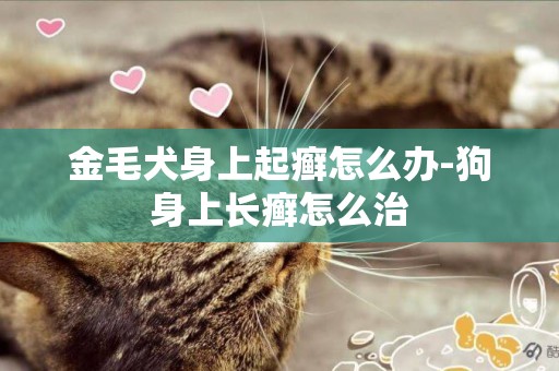金毛犬身上起癬怎么辦-狗身上長癬怎么治