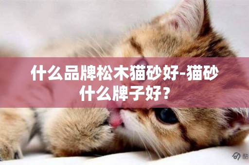 什么品牌松木貓砂好-貓砂什么牌子好？
