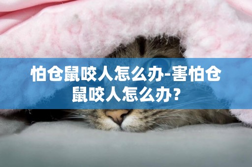 怕倉鼠咬人怎么辦-害怕倉鼠咬人怎么辦？