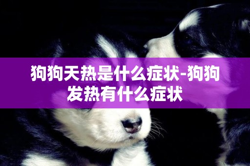 狗狗天熱是什么癥狀-狗狗發熱有什么癥狀