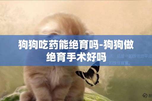 狗狗吃藥能絕育嗎-狗狗做絕育手術好嗎