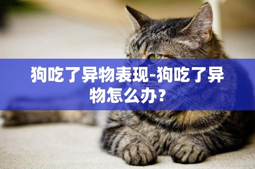 狗吃了異物表現-狗吃了異物怎么辦？
