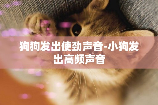狗狗發出使勁聲音-小狗發出高頻聲音
