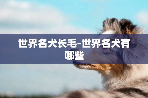 世界名犬長毛-世界名犬有哪些