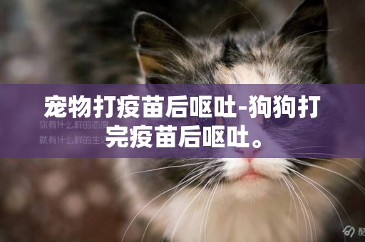 寵物打疫苗后嘔吐-狗狗打完疫苗后嘔吐。
