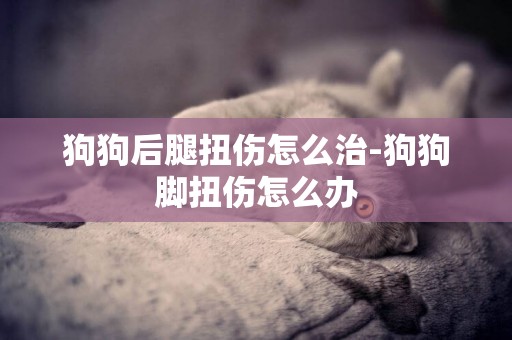 狗狗后腿扭傷怎么治-狗狗腳扭傷怎么辦