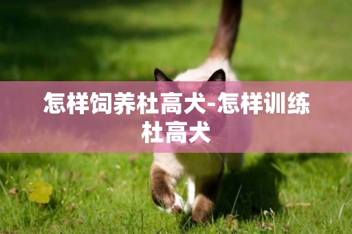 怎樣飼養杜高犬-怎樣訓練杜高犬