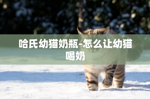 哈氏幼貓奶瓶-怎么讓幼貓喝奶