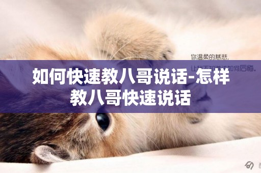 如何快速教八哥說話-怎樣教八哥快速說話