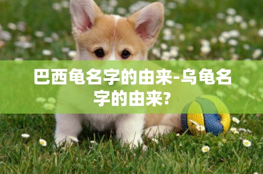 巴西龜名字的由來-烏龜名字的由來?