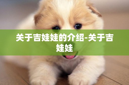關于吉娃娃的介紹-關于吉娃娃