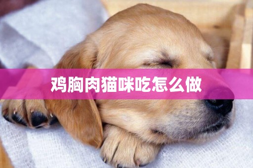 雞胸肉貓咪吃怎么做