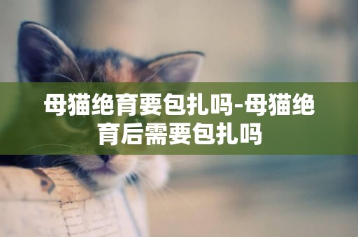 母貓絕育要包扎嗎-母貓絕育后需要包扎嗎