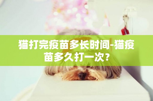 貓打完疫苗多長時間-貓疫苗多久打一次？