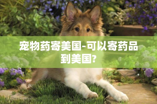 寵物藥寄美國-可以寄藥品到美國?