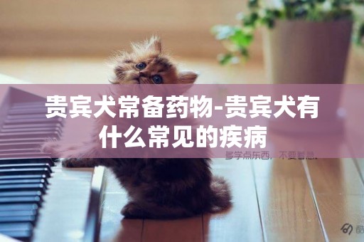 貴賓犬常備藥物-貴賓犬有什么常見的疾病