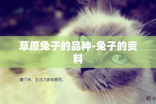 草原兔子的品種-兔子的資料