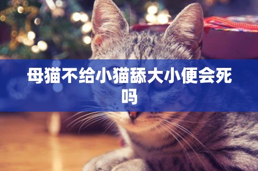 母貓不給小貓舔大小便會死嗎