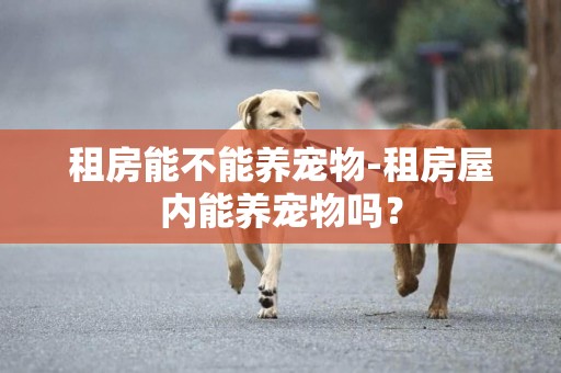 租房能不能養寵物-租房屋內能養寵物嗎？
