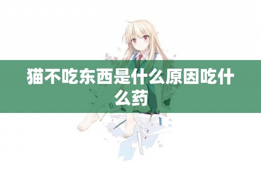 貓不吃東西是什么原因吃什么藥