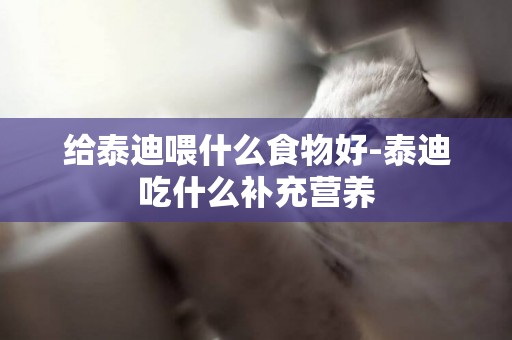 給泰迪喂什么食物好-泰迪吃什么補充營養