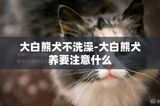 大白熊犬不洗澡-大白熊犬養要注意什么