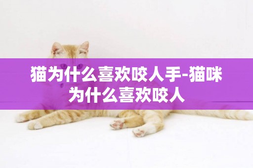 貓為什么喜歡咬人手-貓咪為什么喜歡咬人