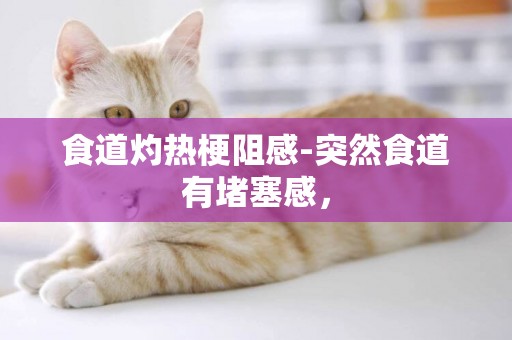 食道灼熱梗阻感-突然食道有堵塞感，