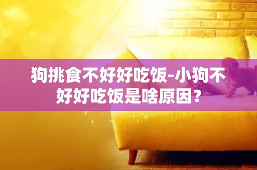 狗挑食不好好吃飯-小狗不好好吃飯是啥原因？