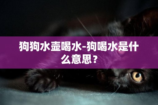 狗狗水壺喝水-狗喝水是什么意思？