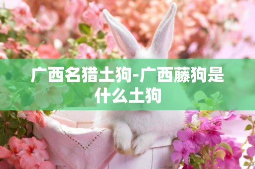 廣西名獵土狗-廣西藤狗是什么土狗