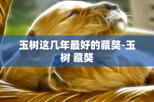 玉樹這幾年最好的藏獒-玉樹 藏獒