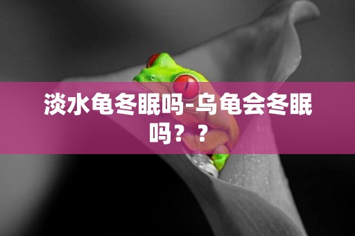 淡水龜冬眠嗎-烏龜會冬眠嗎？？