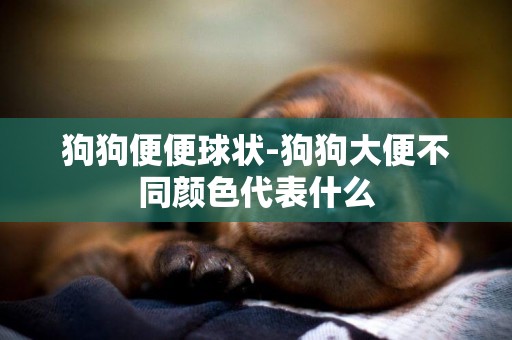 狗狗便便球狀-狗狗大便不同顏色代表什么