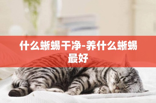 什么蜥蜴干凈-養什么蜥蜴最好