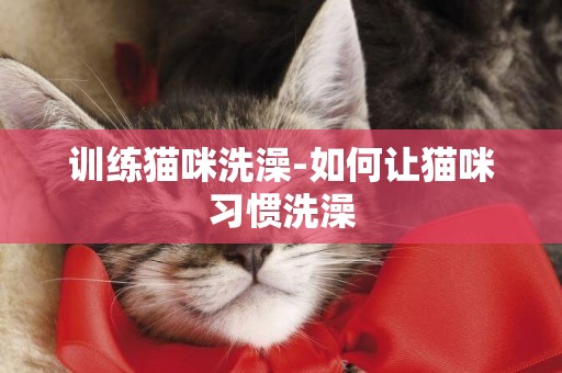 訓練貓咪洗澡-如何讓貓咪習慣洗澡